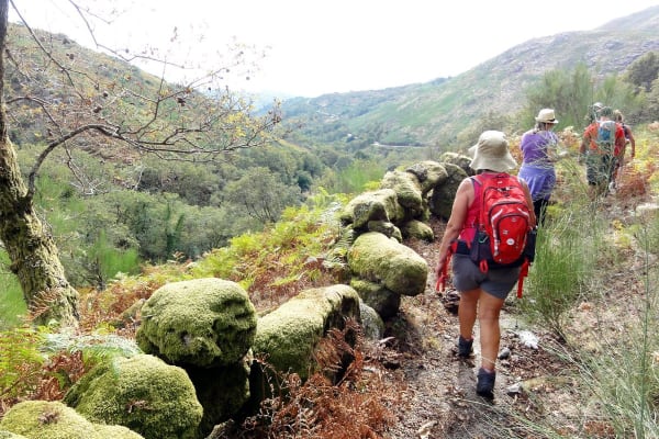 Foto 64 da atividade Galeria de Fotos