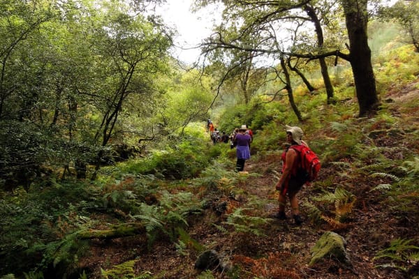 Foto 61 da atividade Galeria de Fotos