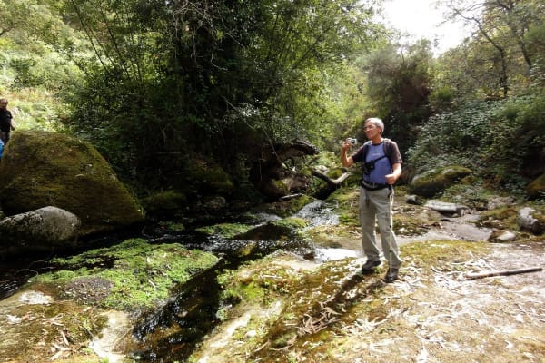 Foto 55 da atividade Galeria de Fotos