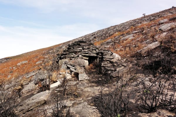 Foto 50 da atividade Galeria de Fotos