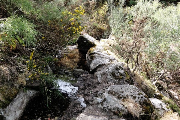 Foto 44 da atividade Galeria de Fotos