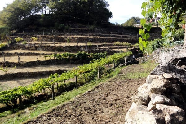 Foto 30 da atividade Galeria de Fotos