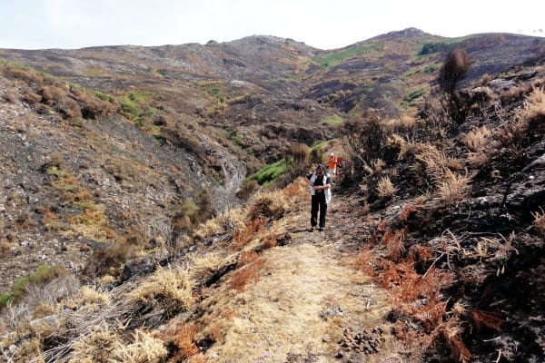 Foto 27 da atividade Galeria de Fotos