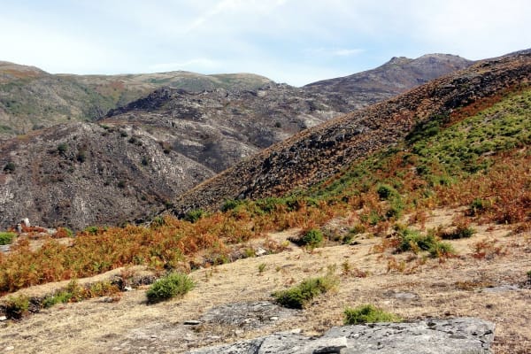 Foto 23 da atividade Galeria de Fotos