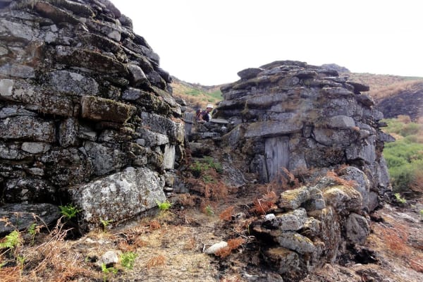 Foto 20 da atividade Galeria de Fotos