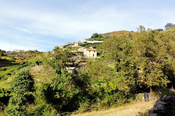 Foto 22 da atividade Galeria de Fotos