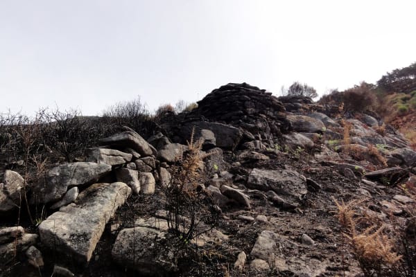 Foto 6 da atividade Galeria de Fotos