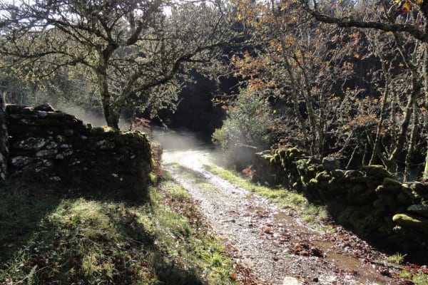 Foto 110 da atividade Galeria de Fotos