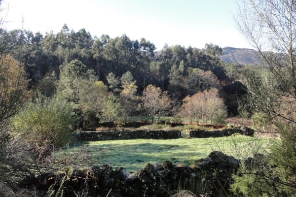 Foto 106 da atividade Galeria de Fotos