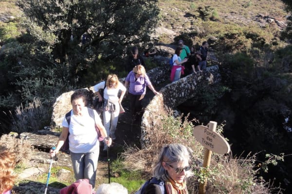 Foto 82 da atividade Galeria de Fotos