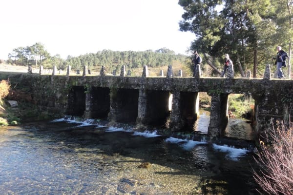 Foto 75 da atividade Galeria de Fotos