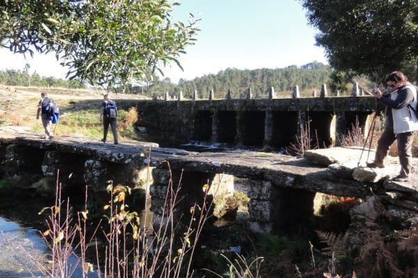 Foto 72 da atividade Galeria de Fotos