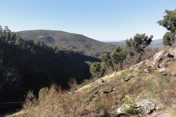 Foto 64 da atividade Galeria de Fotos