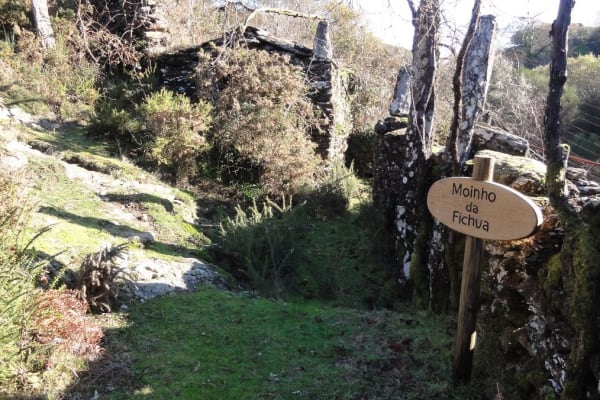 Foto 39 da atividade Galeria de Fotos