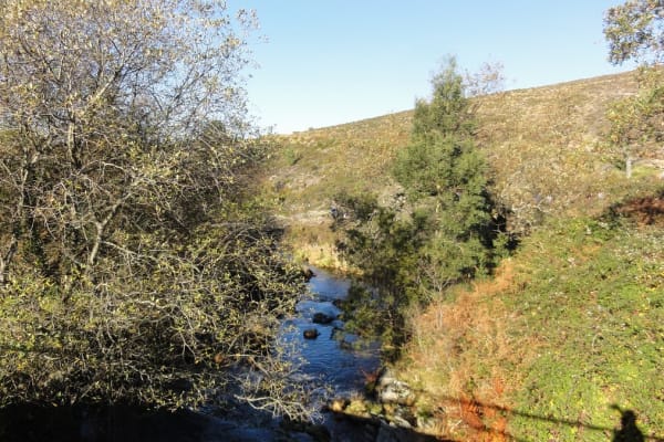 Foto 31 da atividade Galeria de Fotos