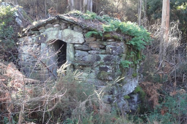 Foto 3 da atividade Galeria de Fotos