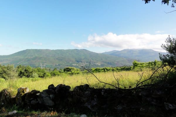 Foto 126 da atividade Galeria de Fotos