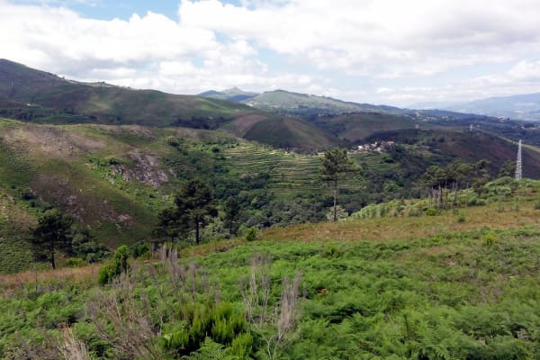 Foto 120 da atividade Galeria de Fotos