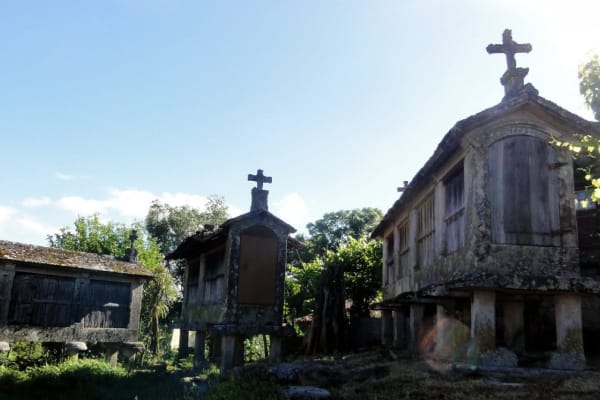 Foto 115 da atividade Galeria de Fotos