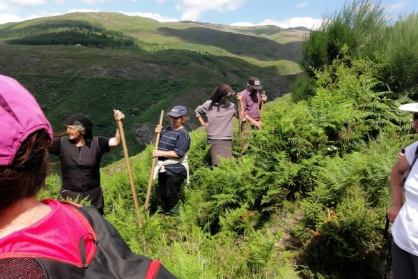 Foto 111 da atividade Galeria de Fotos