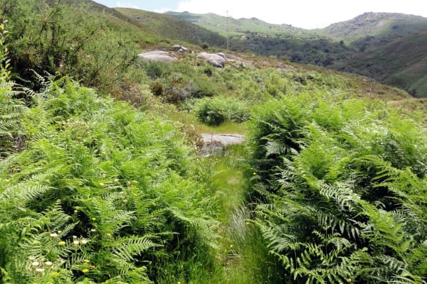 Foto 109 da atividade Galeria de Fotos