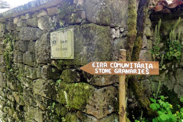 Foto 106 da atividade Galeria de Fotos