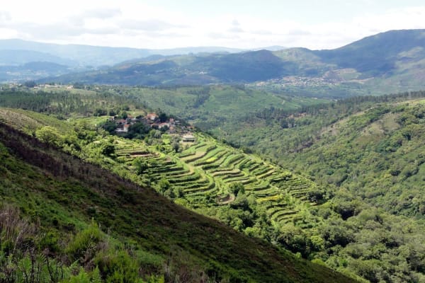 Foto 102 da atividade Galeria de Fotos