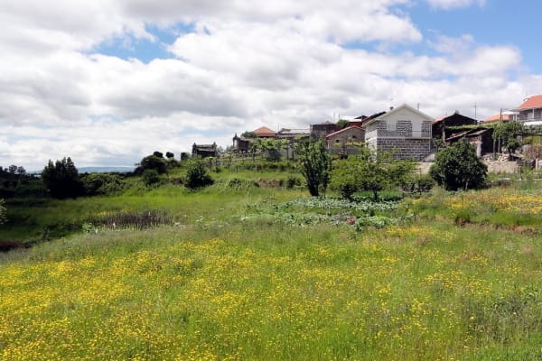 Foto 67 da atividade Galeria de Fotos