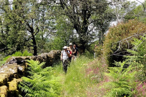 Foto 62 da atividade Galeria de Fotos