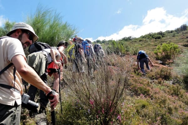 Foto 50 da atividade Galeria de Fotos