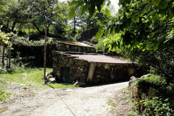 Foto 38 da atividade Galeria de Fotos