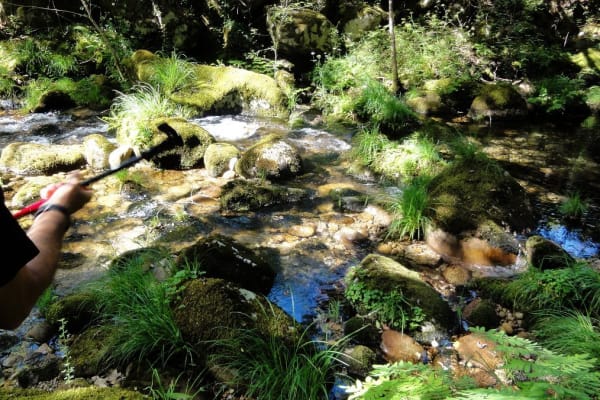 Foto 34 da atividade Galeria de Fotos