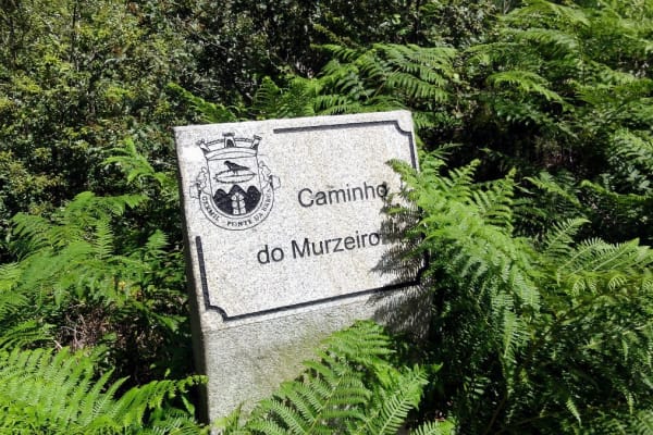 Foto 32 da atividade Galeria de Fotos