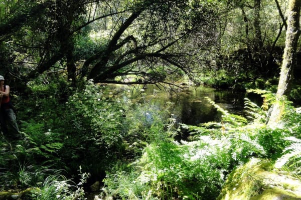 Foto 23 da atividade Galeria de Fotos