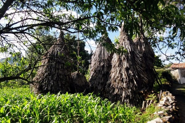 Foto 21 da atividade Galeria de Fotos