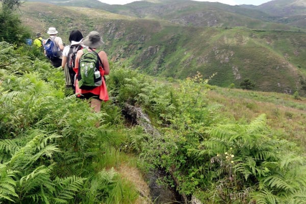 Foto 20 da atividade Galeria de Fotos