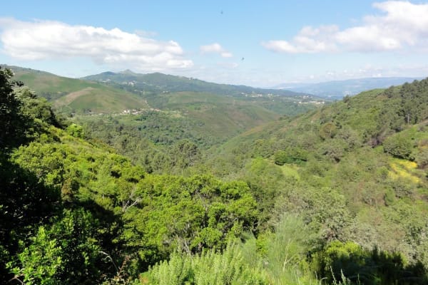 Foto 9 da atividade Galeria de Fotos