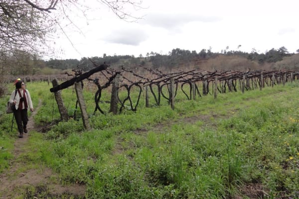 Foto 109 da atividade Galeria de Fotos