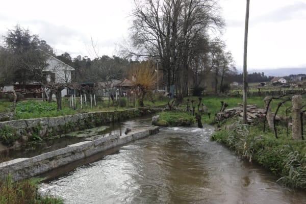 Foto 103 da atividade Galeria de Fotos