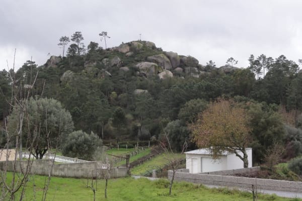 Foto 96 da atividade Galeria de Fotos