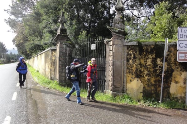 Foto 95 da atividade Galeria de Fotos