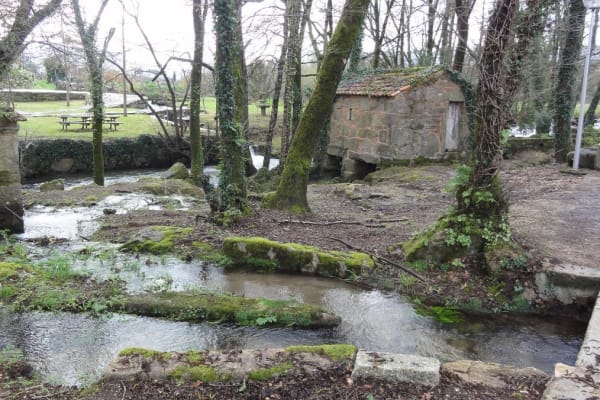 Foto 93 da atividade Galeria de Fotos