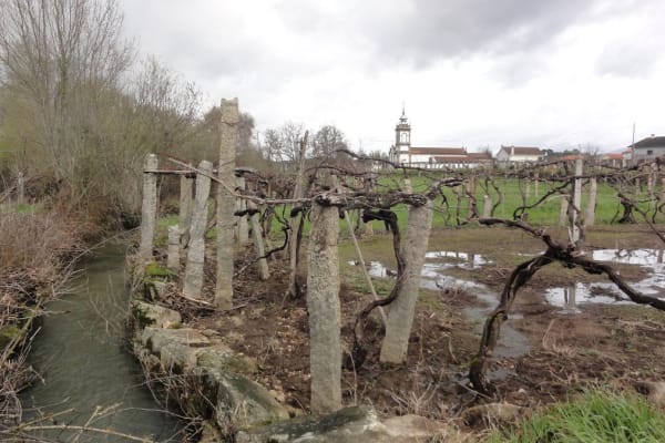 Foto 65 da atividade Galeria de Fotos