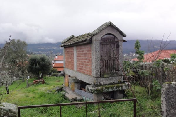 Foto 56 da atividade Galeria de Fotos