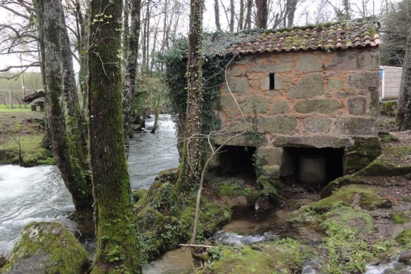 Foto 34 da atividade Galeria de Fotos