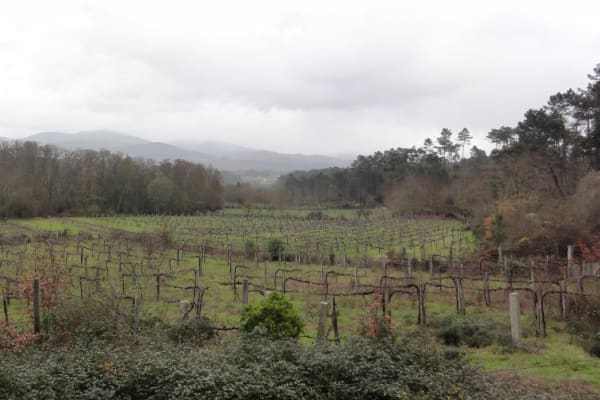 Foto 20 da atividade Galeria de Fotos