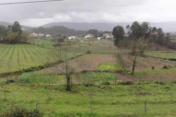 Foto 21 da atividade Galeria de Fotos