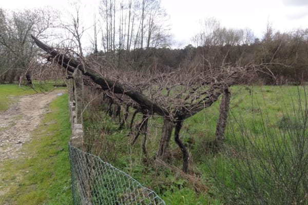 Foto 19 da atividade Galeria de Fotos