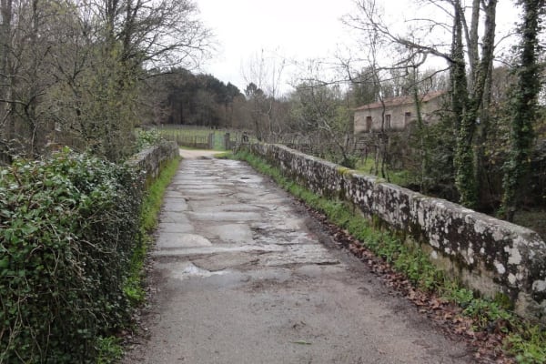 Foto 17 da atividade Galeria de Fotos