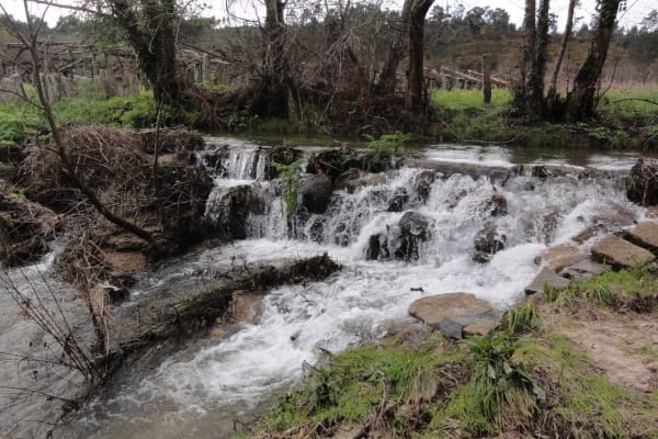 Foto 3 da atividade Galeria de Fotos